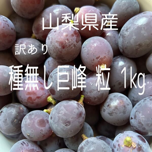 山梨県産 訳あり種無し巨峰 粒 1kg