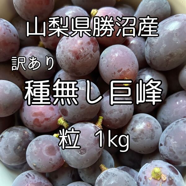 山梨県産 訳あり種無し巨峰 粒 1kg
