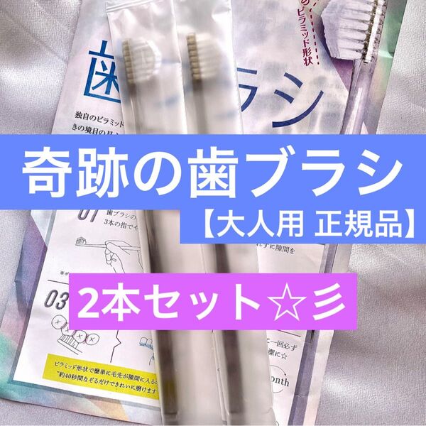 【2本入り】奇跡の歯ブラシ 正規品 クリアブラック色