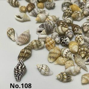 No.108小さな貝殻 レジン シェル 材料ハンドメイド 工作 天然 素材 巻貝