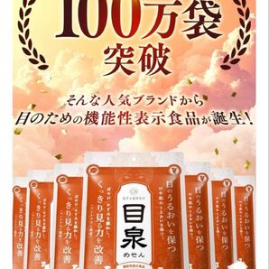 【眼科医と共同開発】目泉 ルテイン (30日分/30粒) サプリメント ぼやけ かすみ 機能性表示食品 漢方生薬研究所
