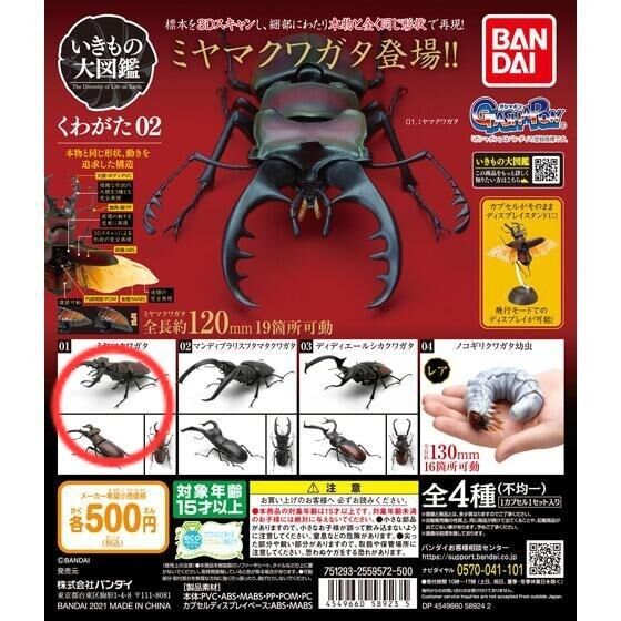 【開封品】いきもの大図鑑 くわがた02 ミヤマクワガタ ガシャポン フィギュア バンダイ BANDAI