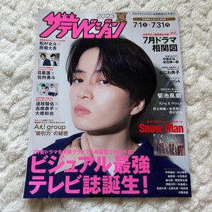ザテレビジョン2023夏 首都圏版8月号増刊 表紙菊池風磨