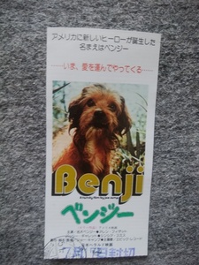 ベンジー　映画前売り券の半券　名犬ベンジー