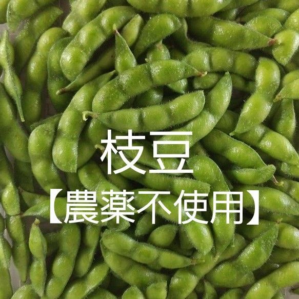 枝豆【農薬不使用】ネコポス発送