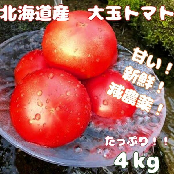☆期間限定☆フォロー割あり☆【北海道産 大玉トマト】【たっぷり4kg】