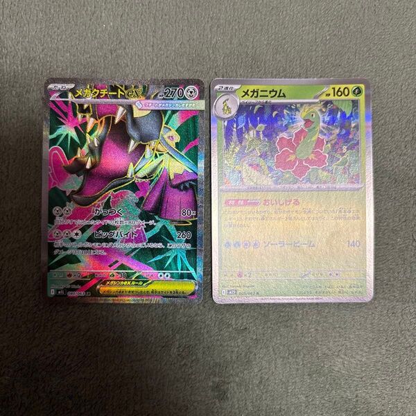 メガクチート SR メガニウム R ポケモンカード ポケカ ポケモンカードゲーム
