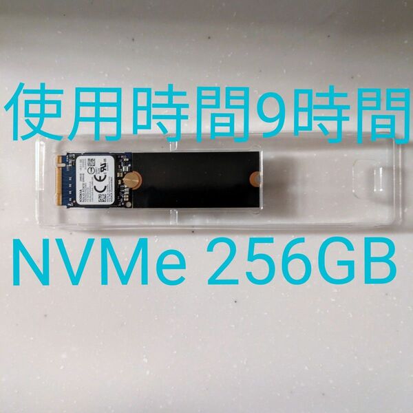 KIOXIA M.2 NVMe SSD 256GB KBG40ZNS256G使用時間9時間