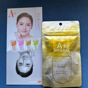 リニューアルしました☆NEW☆エンビロンENVIRON☆アクティブサプリ★ミネラル★こちらは60粒です!2ヶ月60日分!