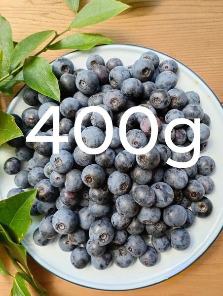 【8/3発送】400g 農薬不使用 小~中粒 生ブルーベリー 常温発送 愛媛県産 ネコポス