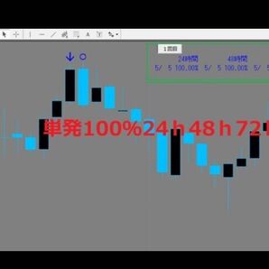 【定価12,000円】期待値の高いバイナリ-で御座います