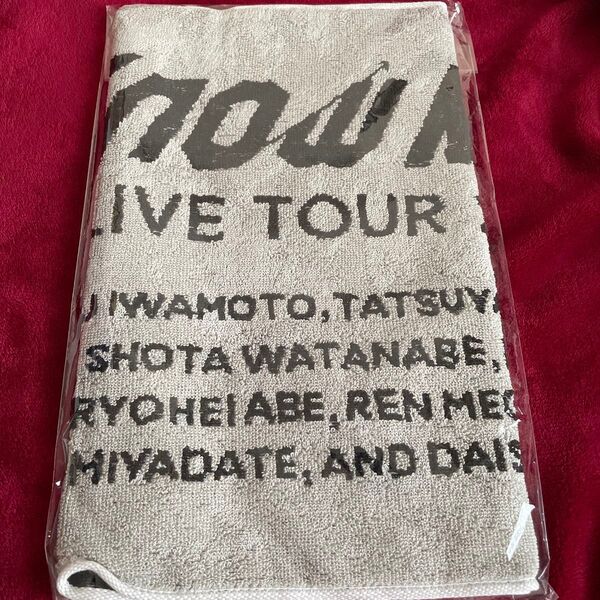 SnowMan LIVE TOUR 2022 Labo. グッズ タオル