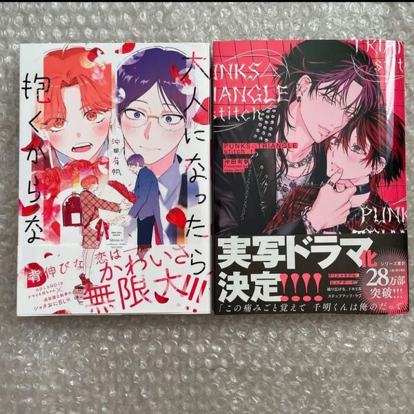 沖田有帆 大人になったら抱くからな PUNKS△TRIANGlE stitch
