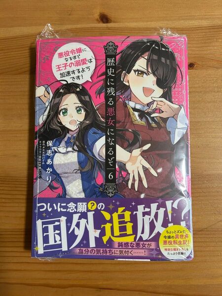 歴史に残る悪女になるぞ 悪役令嬢になるほど王子の溺愛は加速するようです! 6