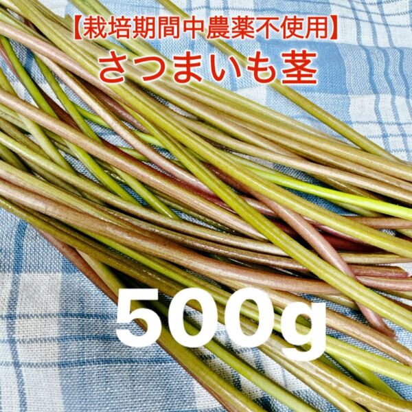 新鮮採れたてさつまいもの茎500g