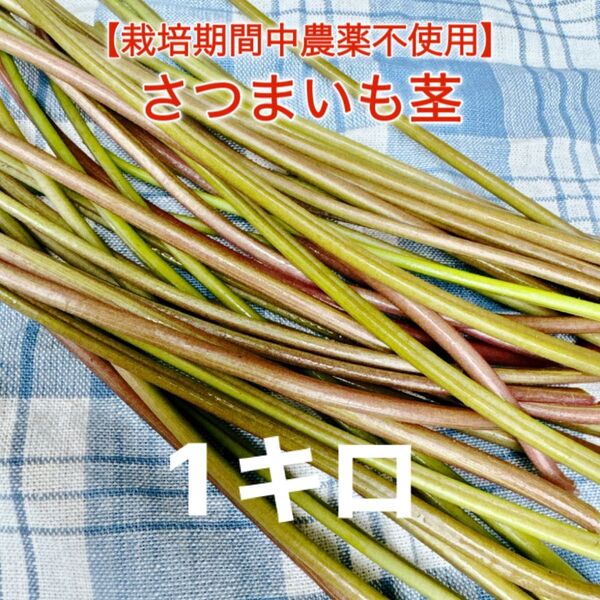 新鮮採れたてさつまいもの茎