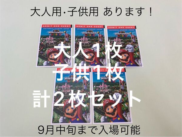 【大人1枚&子供1枚】USJ 入場券 チケット ユニバーサルスタジオジャパン ワンデイ 年パス グレードUP