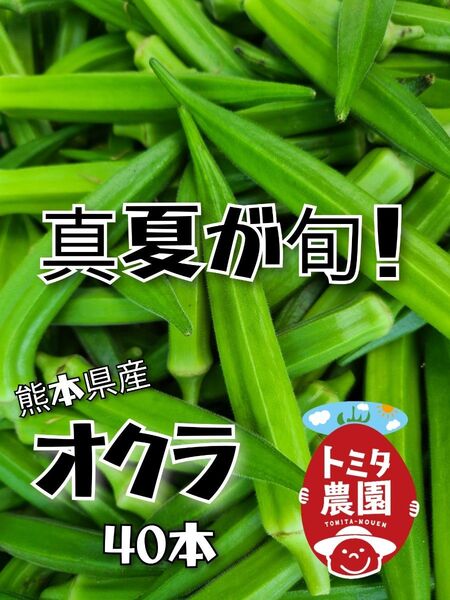 熊本県産オクラ40本