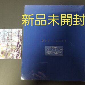 魔法使いの夜 初回限定版 設定資料集+リーフレット Switch版