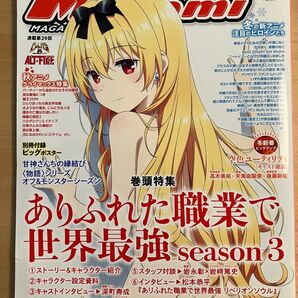 MegamiMAGAZINE 2025年2月号 (Gakken)