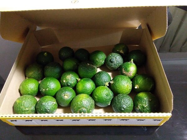 取りたて 無農薬 自然栽培 青ゆず 20個
