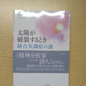 太陽が破裂するとき 統合失調症の謎 クリストファー・ボラス/著 館直彦/監訳