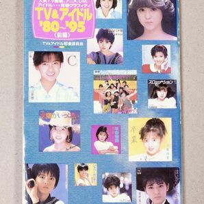 TV&アイドル’80~’95 人気TV番組、アニメ、CM、アイドル…青春グラフィティ 前編 (竹書房文庫)
