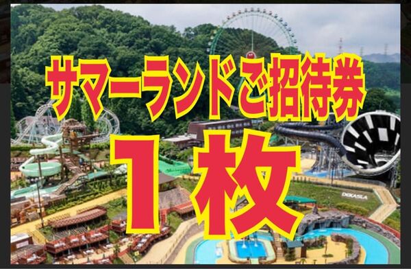 サマーランド 1dayパス 1枚 お盆期間利用可能 即日匿名配送