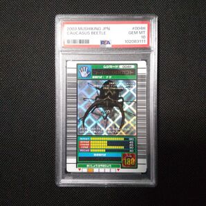 PSA10 コーカサスオオカブト 2003 AUTUMN ステータス黄色