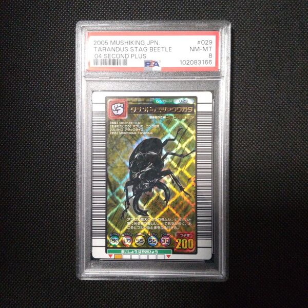 PSA8 タランドゥスツヤクワガタ 2004 セカンド プラス