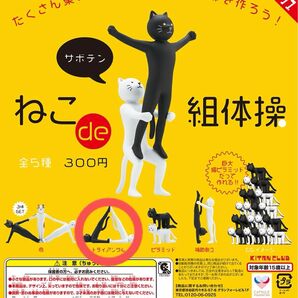 ねこde組体操 ガチャガチャ