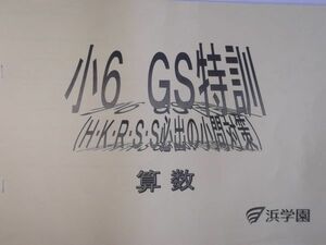 浜学園 (小6) 算数 「GS特訓」 (H・K・R・S・S 必出の小門対策) 必出小問対策