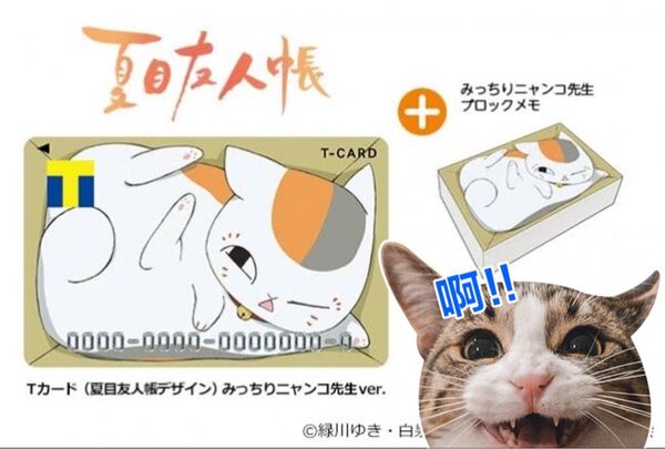 夏目友人帳 Tカード Vポイントカード ブロックメモ付き
