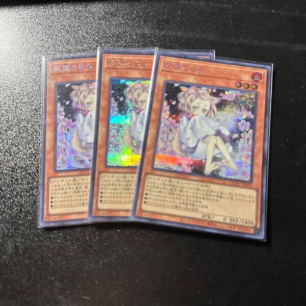 遊戯王 灰流うらら 絵違い シークレット 3枚