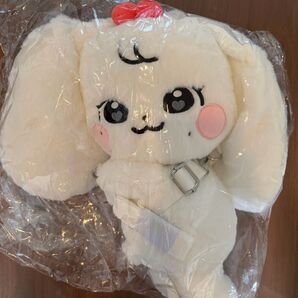 IVE MINIVE ウォニョン ポップアップ ハグ バック トレカ抜き