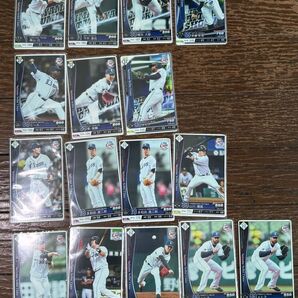 埼玉西武ライオンズ ベースボールコレクション R N16枚セット