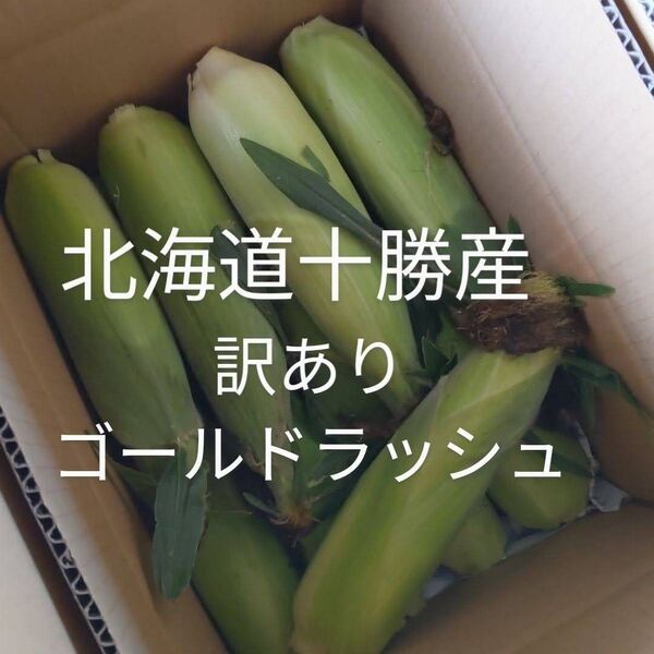 北海道十勝産 訳ありスイートコーン(とうもろこし)