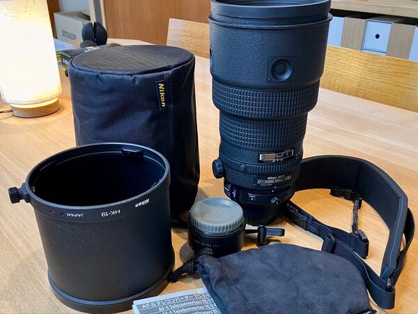 AF-I NIKKOR 300mm F2.8 D ED + AF-S TELECONVERTER TC-17E Il +オマケ