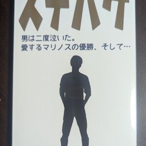 【公式】 ステハゲ 本 書籍 【新品・未使用】0823