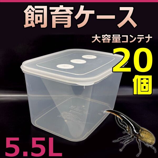 飼育ケース 大容量コンテナ 5.5L 新品 20個 おまけ付 国産 外国産カブトムシ 幼虫飼育に最適 人工蛹室の管理 成虫一時管理