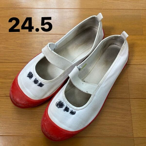上履き 24.5 赤 男の子 女の子 中学生 高校生 中古 スクールシューズ キッズ
