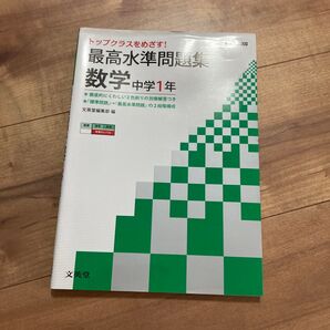 最高水準問題集 数学 中学1年