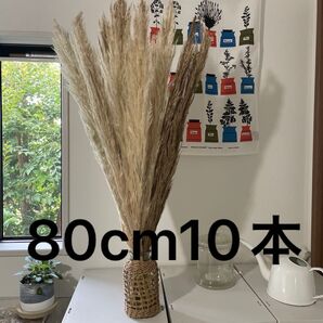 パンパスグラス80cm 10本 花材 インテリア ドライ 天然
