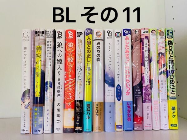 BLコミック(11)