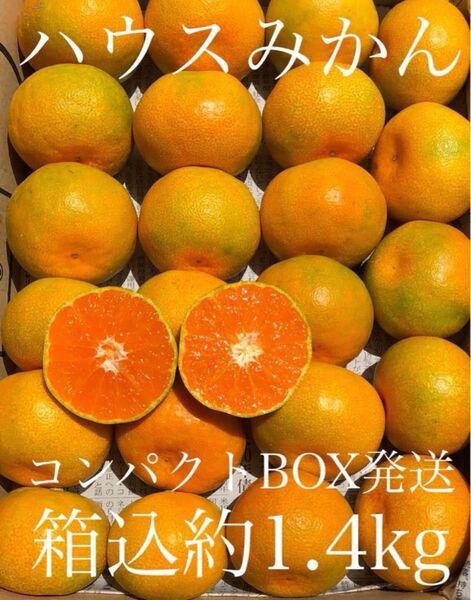 愛媛県産 家庭用 ハウスみかん 宅急便コンパクト便 果物 柑橘