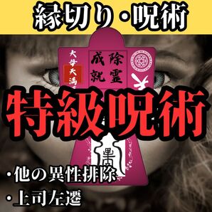 【縁切りの最強形代】祈祷8万人達成記念 形代 御守り 護符 縁切り 悪縁断ち 地獄縁切り 形代送付 異性排除 縁を切る
