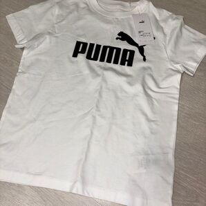 プーマ 半袖 Tシャツ 140