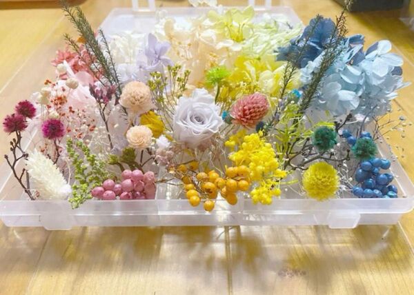 109花材詰め合わせ(大)【バラ付き】プリザーブド ドライ ハーバリウムレジン