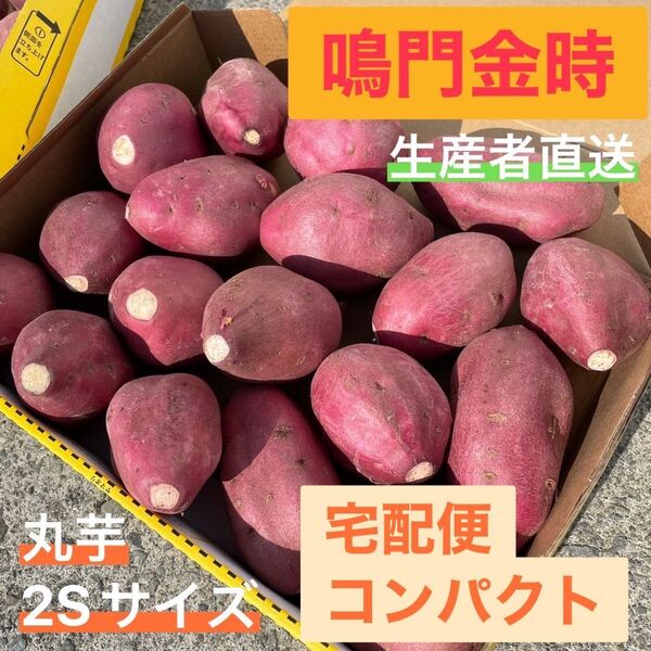 鳴門金時 丸芋 2Sサイズ 宅配便コンパクト