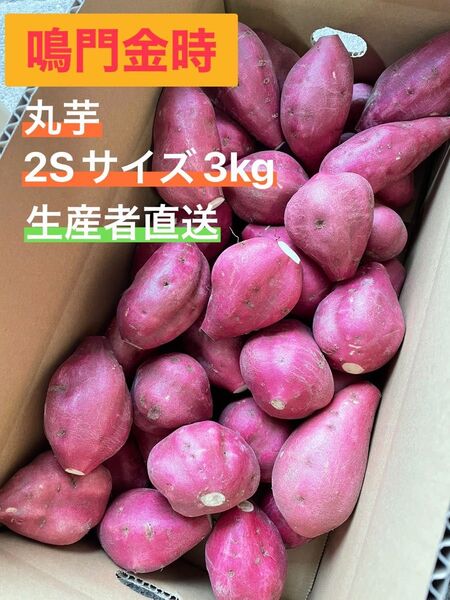 鳴門金時 丸芋 2Sサイズ 3kg